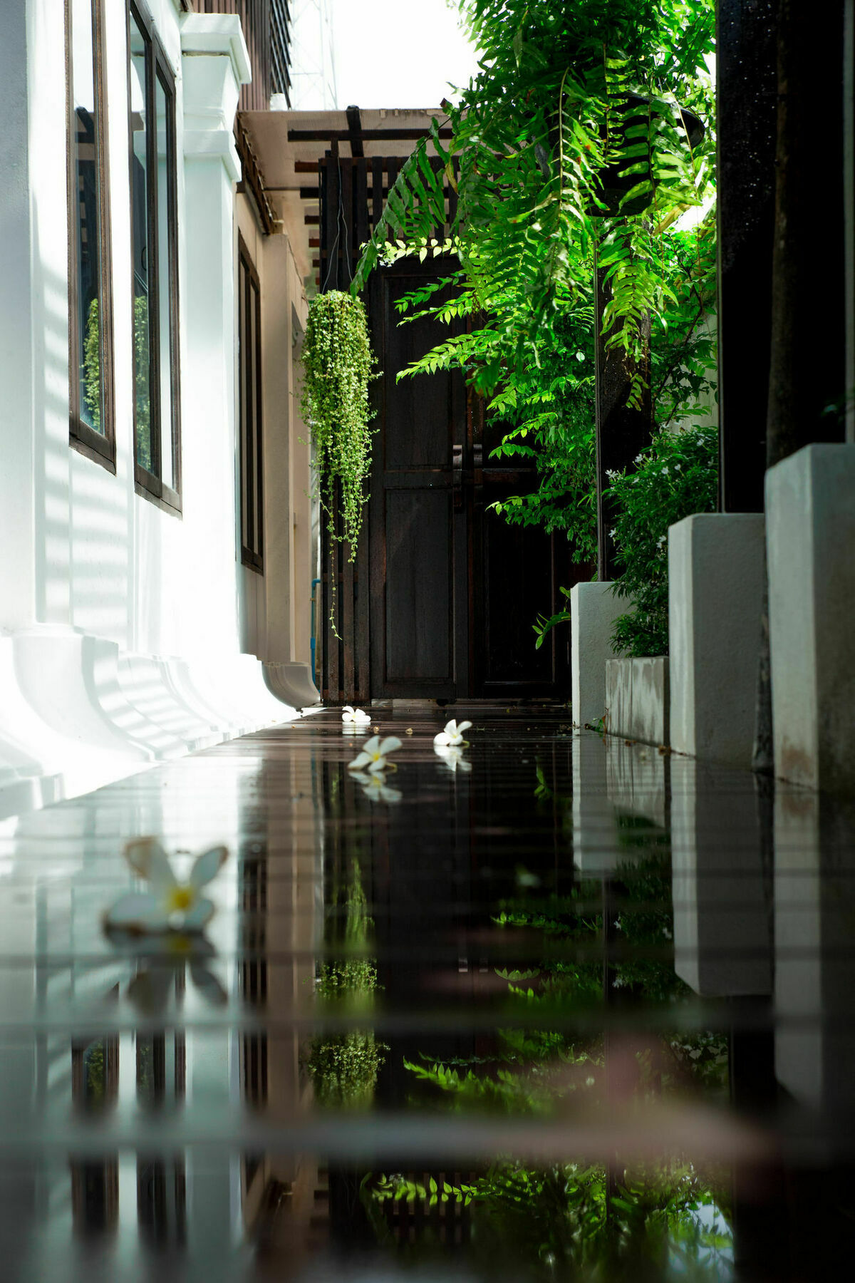 Rachamankha Thai Villa Chiang Mai Zewnętrze zdjęcie